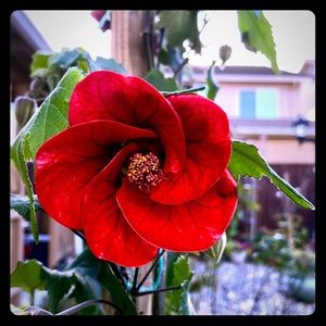 Meet your Posher, Eileen